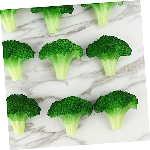STOBAZA 10pcs Realistic Broccoli Artificial Decor Display Props