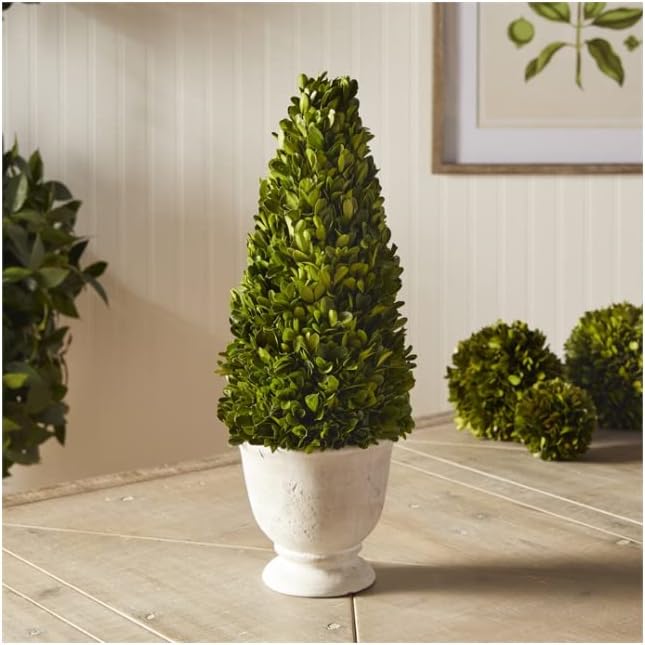 MY SWANKY HOME Elegant 19 in Cone Topiary in Pot