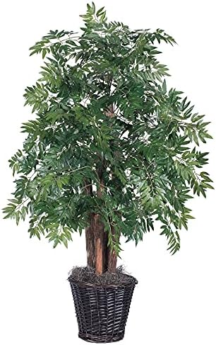 Vickerman 4 Foot Artificial Ming Aralia Bush in Rattan Basket