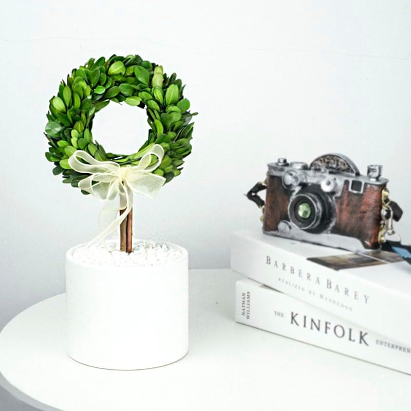 Forever Green Boxwood Wreath Topiary 10 Inch