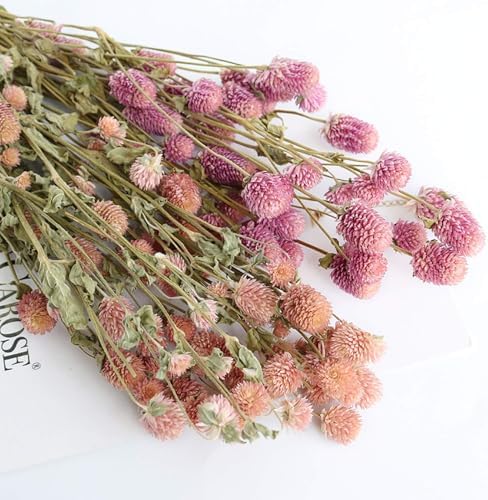 MIHUAGE Dried Flower White Globe Amaranth Decor Bouquets Pink
