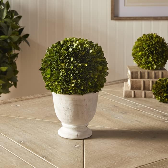 MY SWANKY HOME Elegant 12in Ball Sphere Topiary in Pot