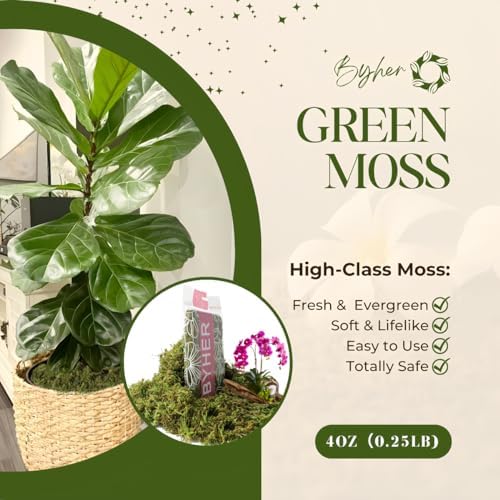 BYHER Artificial Green Moss for Indoor Planters and Crafts