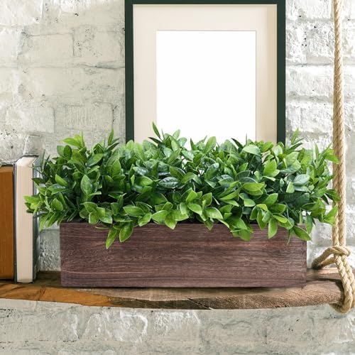 Winlyn 14 Inch Artificial Boxwood Plant Decor