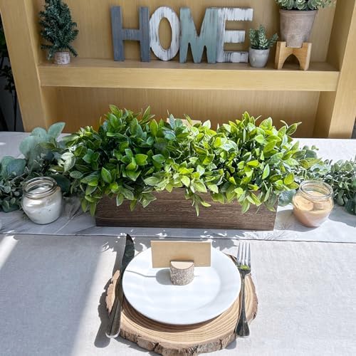 Winlyn 14 Inch Artificial Boxwood Plant Decor