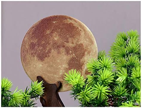Artificial Bonsai Tree for Living Room and Desk