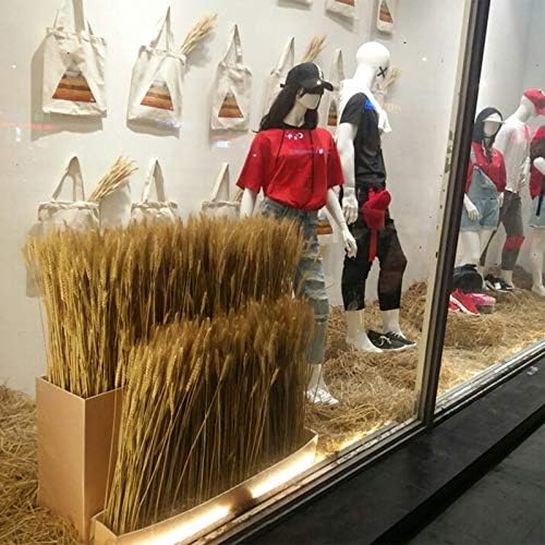 Yarlung 300 Stems Dried Wheat Sheaves 16 Inch NaturalFall Decor