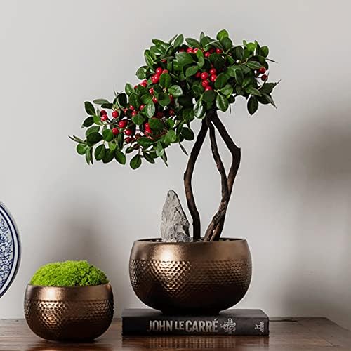 Artificial Topiary Plants for Indoor Home Decor