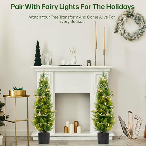 Kivana Artificial Cedar Tree 3ft Set of 2