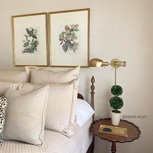 Real Preserved Boxwood Evergreen Potted Tree Topiary 20 Inches