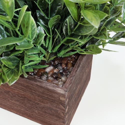 Winlyn 14 Inch Artificial Boxwood Plant Decor