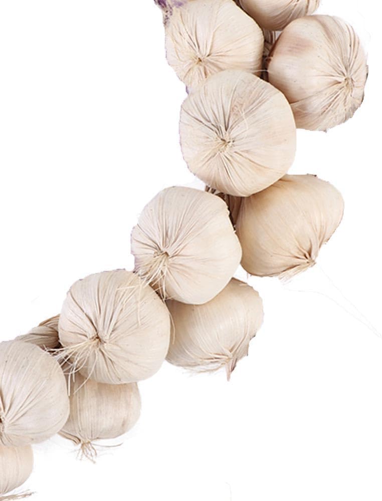Veloshine Artificial Garlic String for Farmhouse Decor