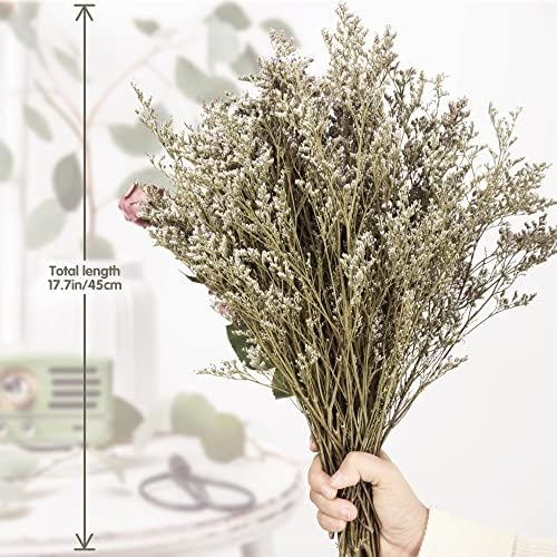 Saipro Preserved Limonium Bouquet 25 Stems Real Fresh Sea Lavender