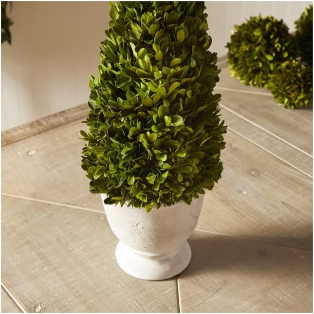 MY SWANKY HOME Elegant 19 in Cone Topiary in Pot