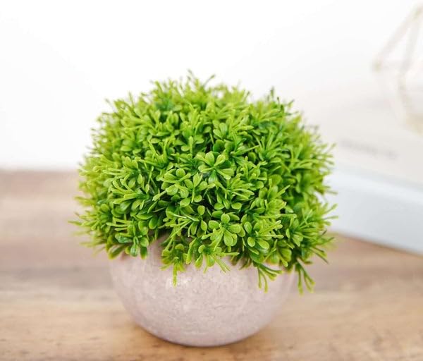 2 Pack Artificial Boxwood Topiaries in Gray Pots 5 Inch