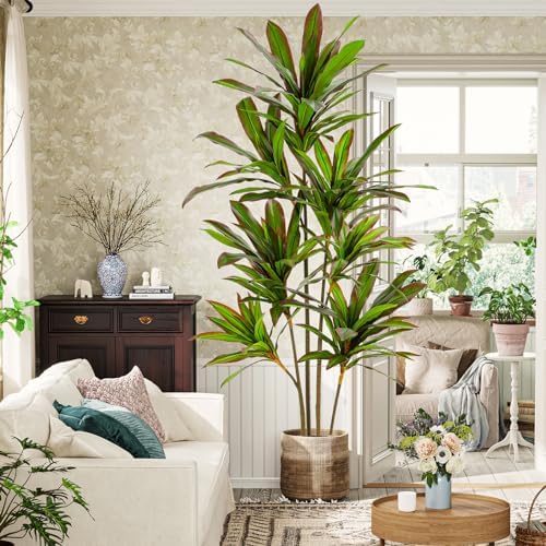 VIAGDO 6ft Artificial Dracaena Plant with Red Leaf Margin