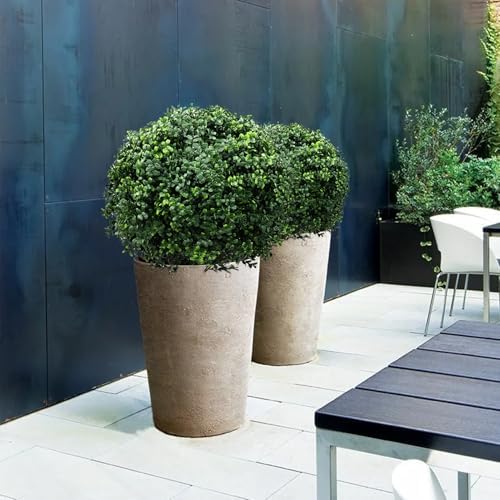 30 Inch Artificial Topiary Boxwood Ball Trees Set of Two