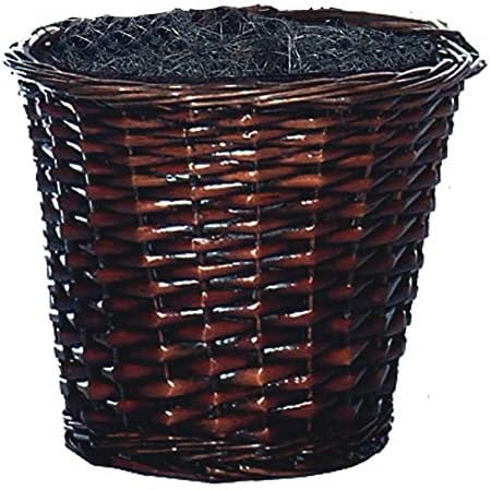 Vickerman 4 Foot Artificial Ming Aralia Bush in Rattan Basket