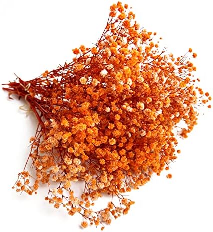 Preserved Babys Breath Flowers 3 Bunches Orange
