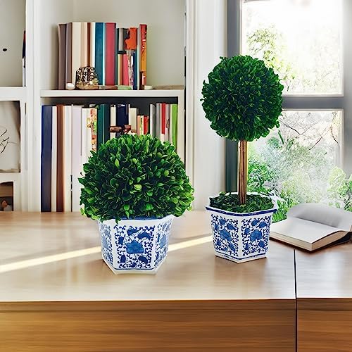 Galt International Preserved Boxwood Topiaries Blue White Pot 11 Ball 19 Tree