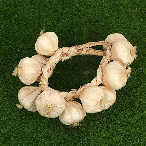 BESPORTBLE Garlic Hanging Strings for Home and Halloween Decor