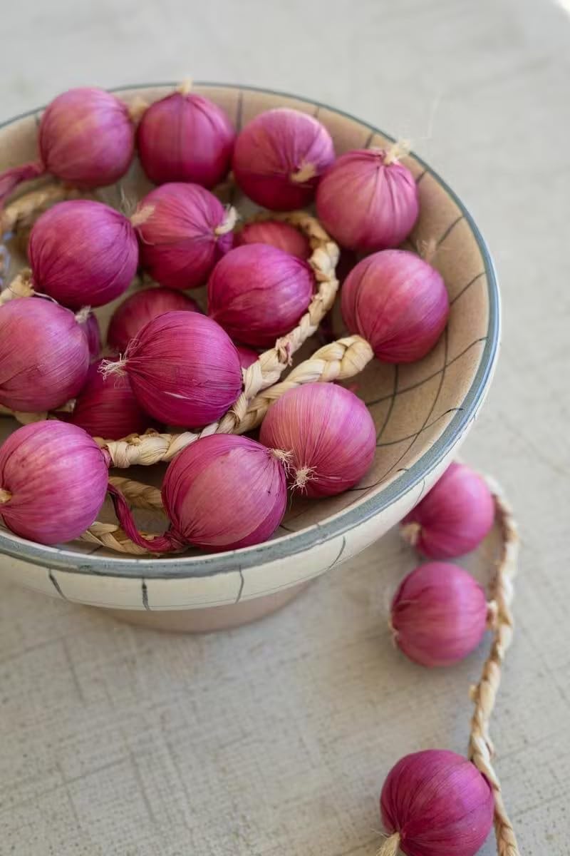 First of a Kind Artificial Purple Onion Strings Decor