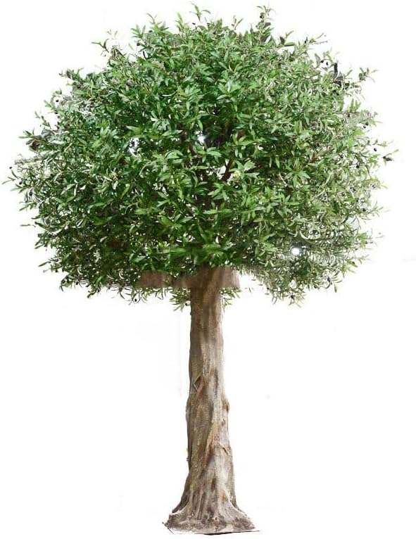 QIUPAI Artificial Olive Tree 1x08m