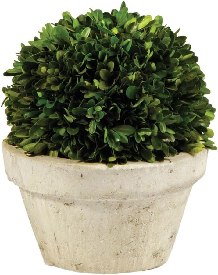 MY SWANKY HOME 10-Inch Ball Topiary Artificial Boxwood