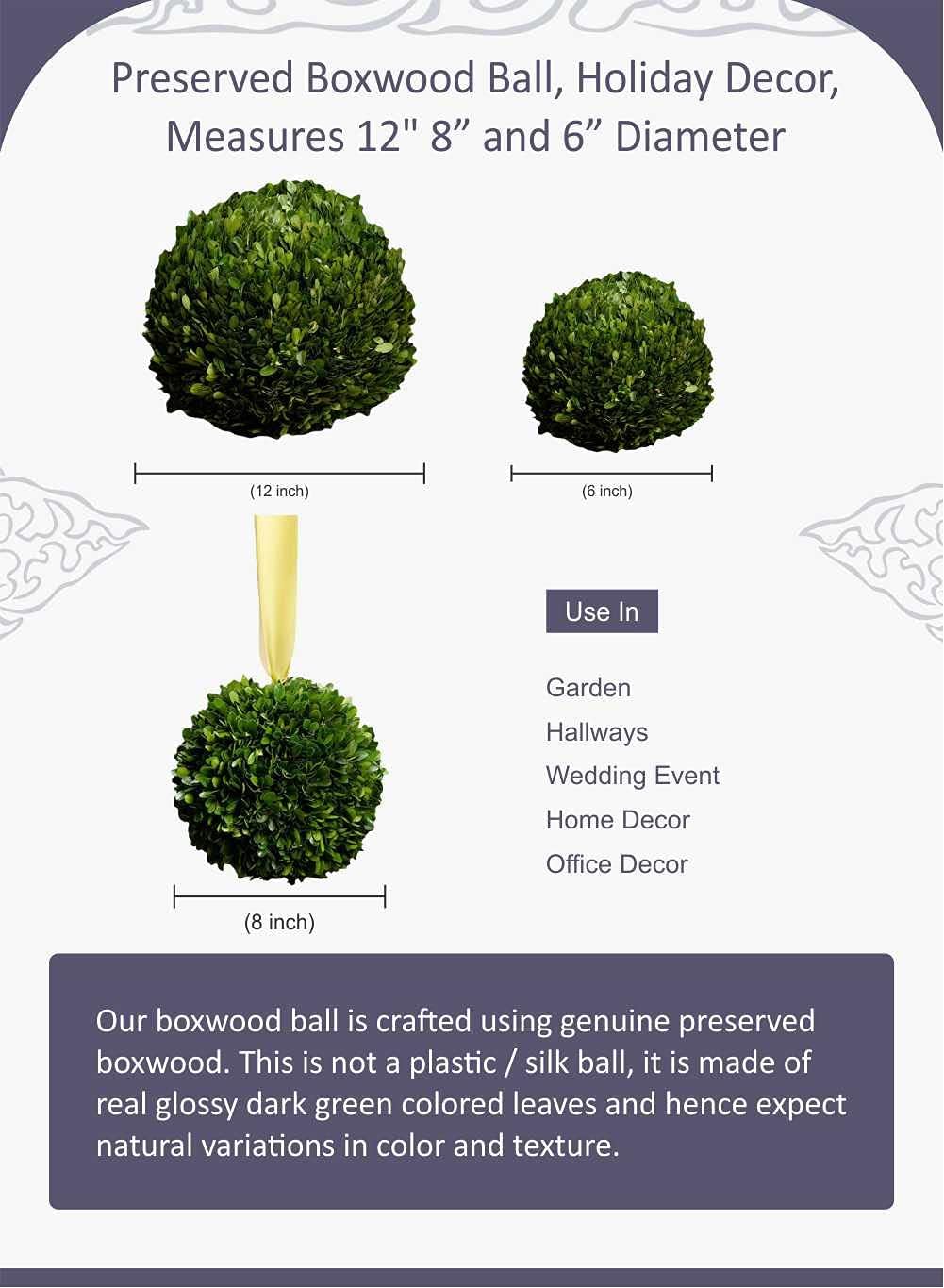 Serene Spaces Living 12 Inch Preserved Boxwood Ball