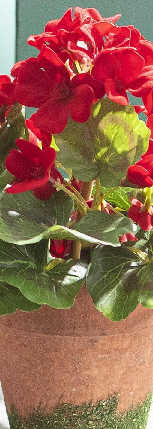 9 Inch Artificial Red Geranium with Moss