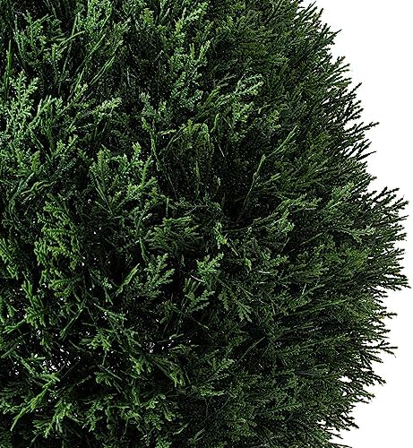 Vickerman 20 Inch Artificial Silk Cedar Topiary Ball