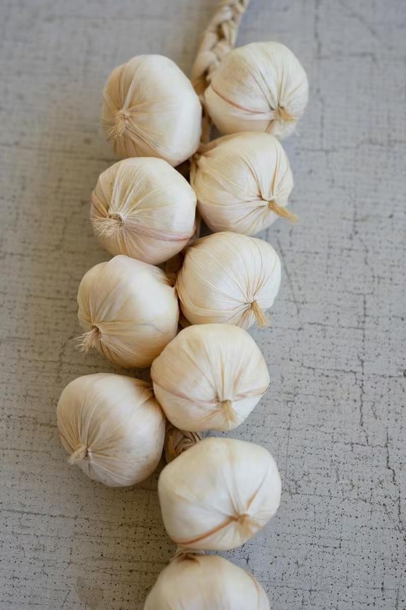 First of a Kind Artificial Garlic String Decor
