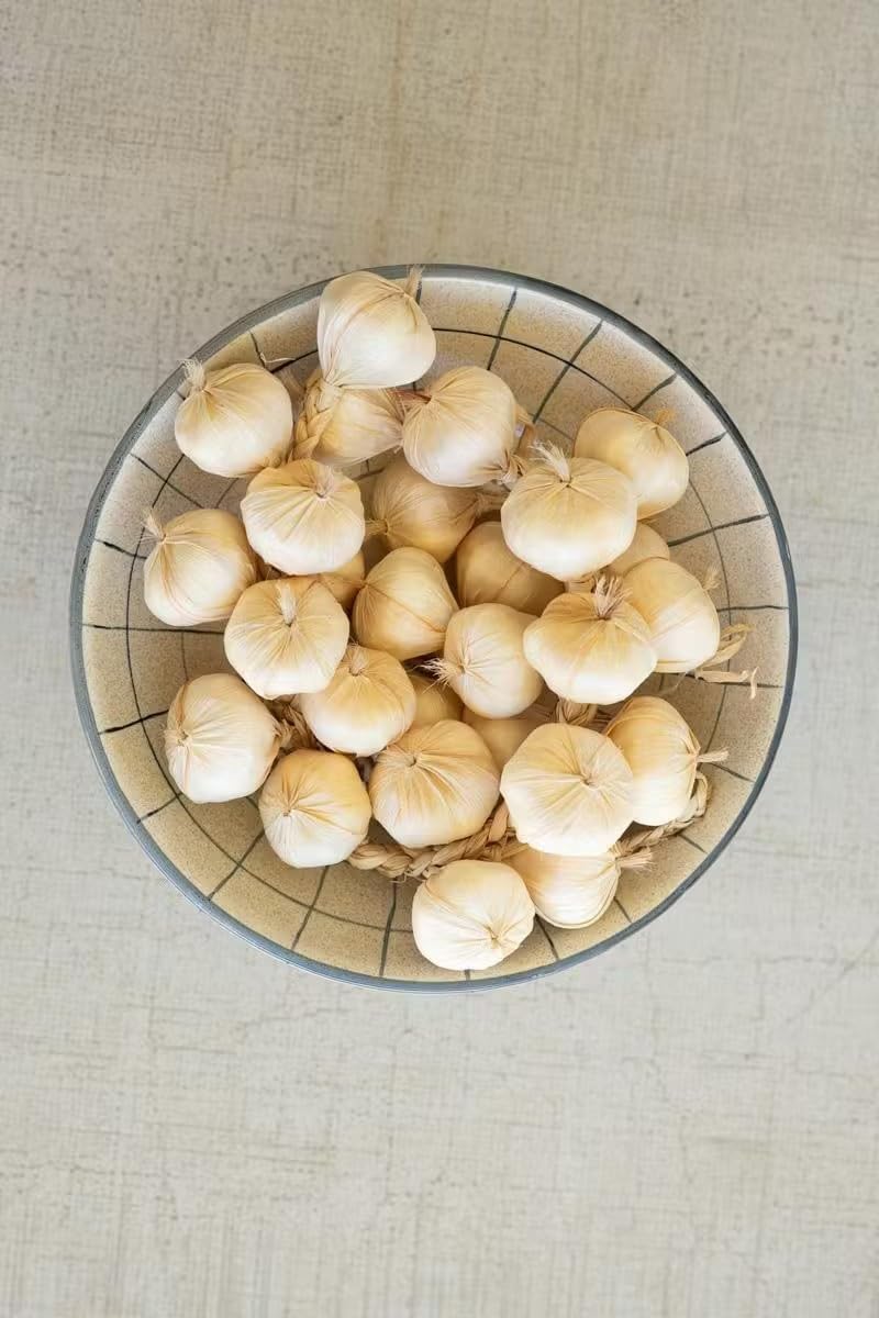 First of a Kind Artificial Garlic String Decor