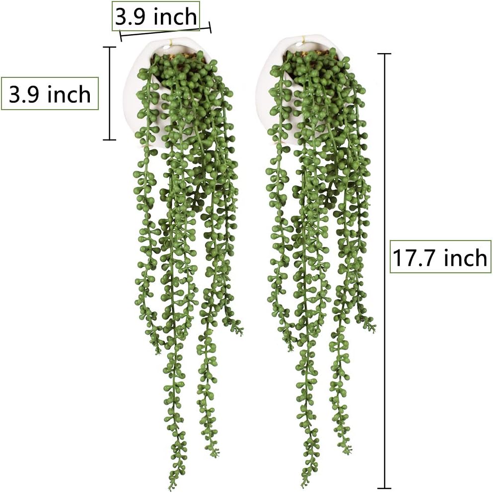 Tiita Artificial Succulents Hanging Plants Set of 2