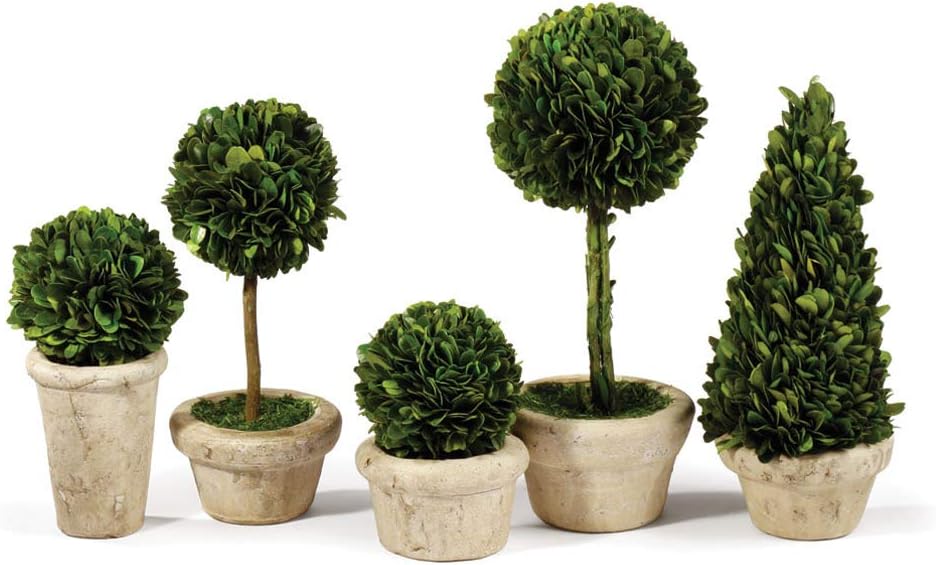 Traditional Garden Boxwood Topiaries Set Of 5 Green