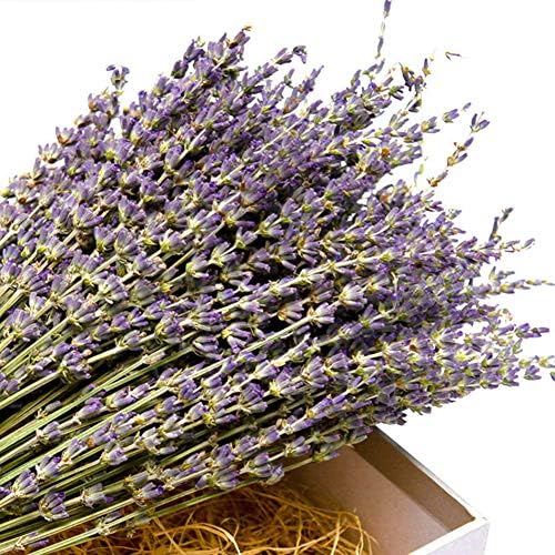 TooGet Natural Lavender Bundles 400 Stems Dried Lavender Bouquet 16-18 Inches
