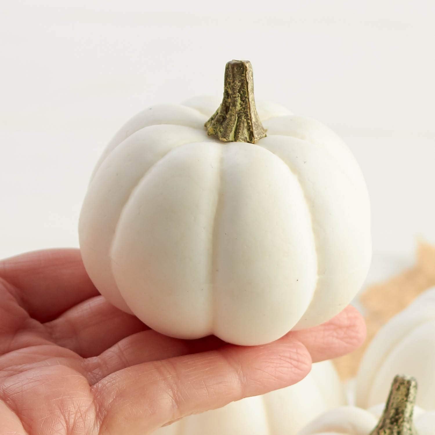 Factory Direct Craft Artificial Baby Boo Pumpkins Set of 12