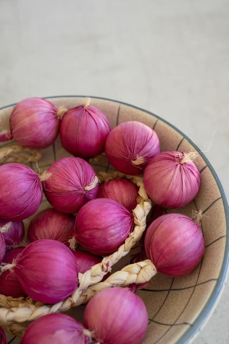 First of a Kind Artificial Purple Onion Strings Decor