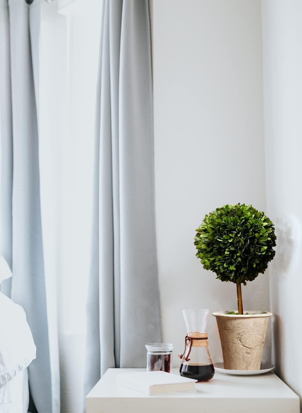 Serene Spaces Living Preserved Boxwood Topiary with Pot