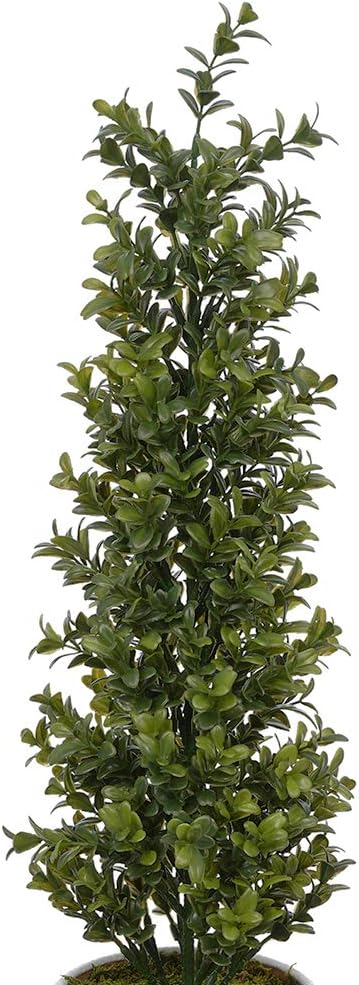 House of Silk Flowers Artificial 22-inch Boxwood Topiary in Ceramic Pot
