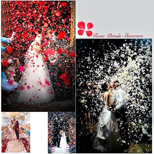 1000 Piece Artificial Rose Petals for Romantic Events