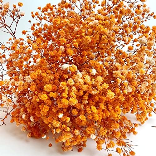Preserved Babys Breath Flowers 3 Bunches Orange