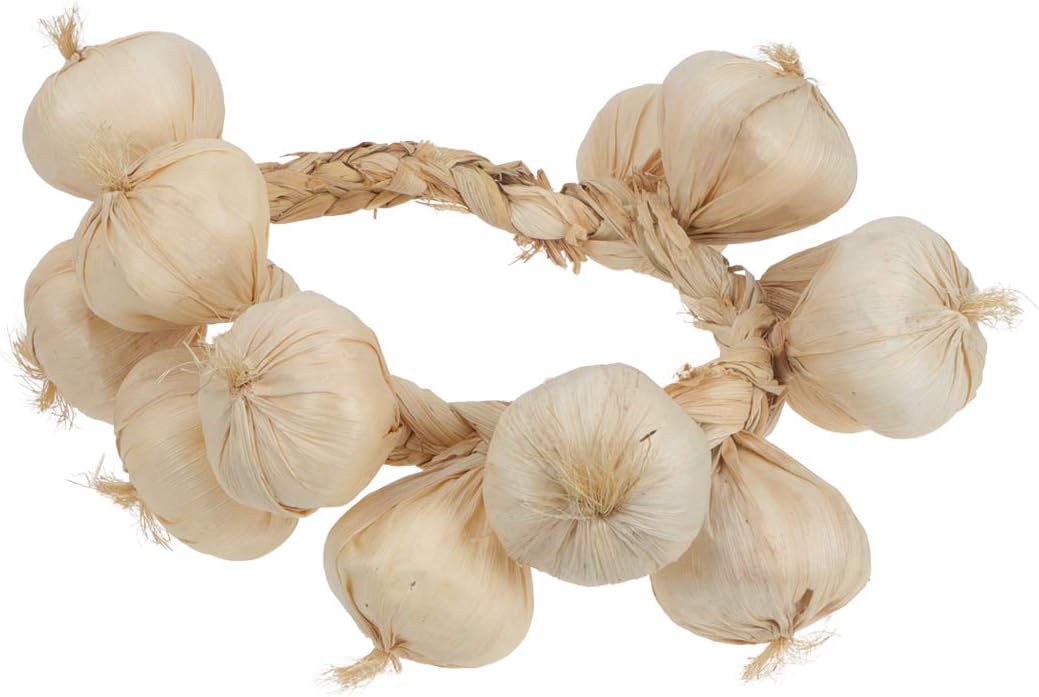 BESPORTBLE Garlic Hanging Strings for Home and Halloween Decor