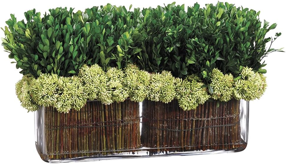 11 Inch High Preserved Boxwood Topiary with Glass Vase - Green