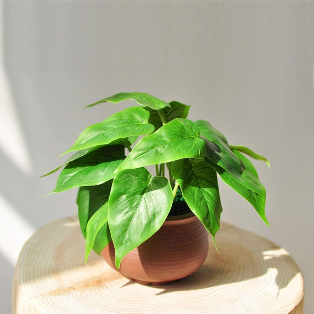 Artificial Bonsai Tree with Realistic Leaf Texture