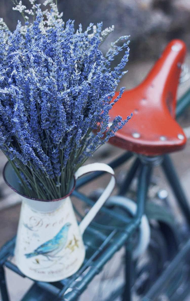 TooGet Natural Lavender Bundles 400 Stems Dried Lavender Bouquet 16-18 Inches