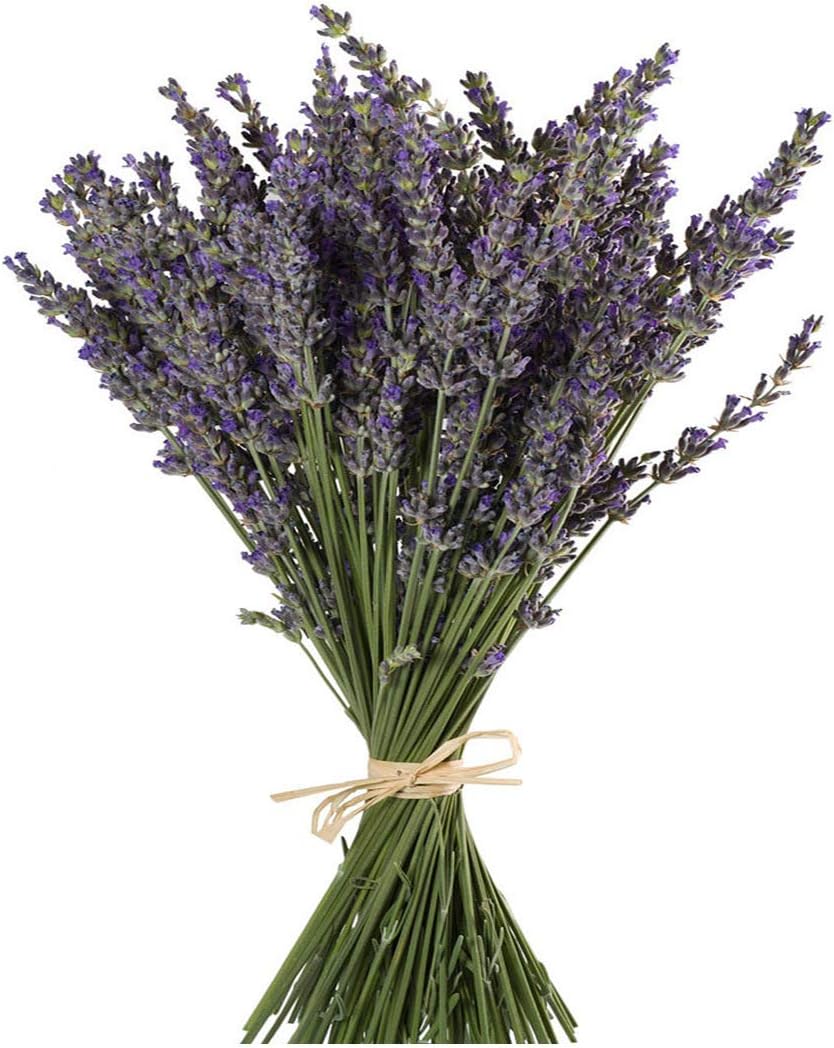 TooGet Natural Lavender Bundles 400 Stems Dried Lavender Bouquet 16-18 Inches