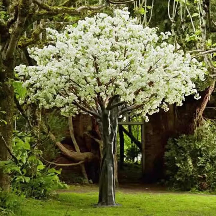 QIUPAI Simulation Cherry Tree Artificial Cherry Blossom Trees White 1mx09m