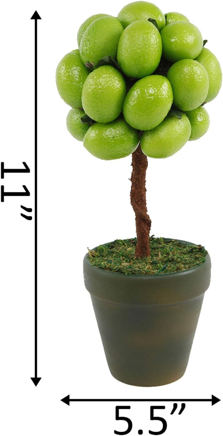 Flora Bunda 11 Inch Tall Faux Lime Topiary in Ceramic Pot