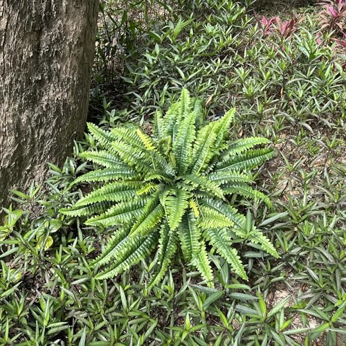 zooFernzoom Artificial Ferns 45in Large Fake Plants 2 Stems